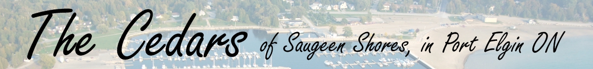 J.A.C.K. Holdings Inc.